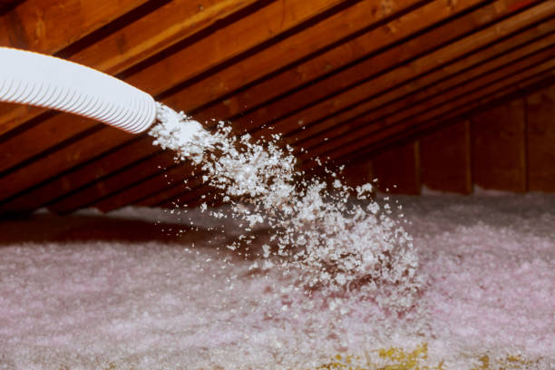 Best Specialized Insulation Services in Atlantis, FL