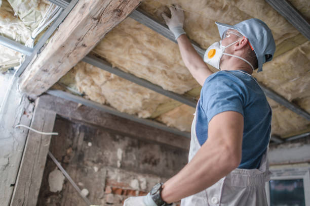 Best Insulation Maintenance and Repair in Atlantis, FL